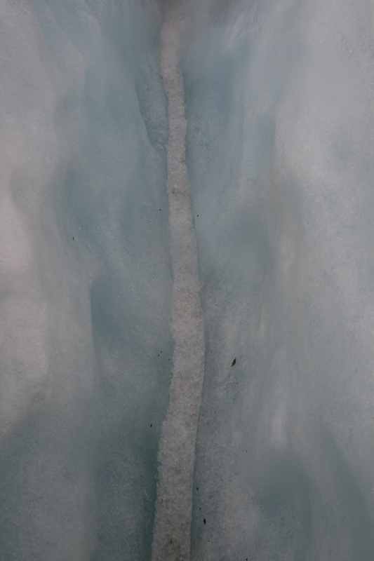 Nieuw-Zeeland 2011 - 1447